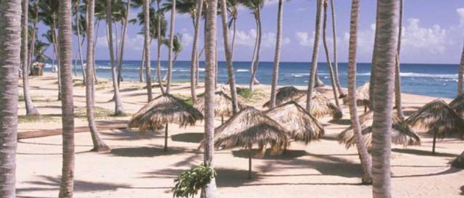 cerro punta singles dating site Week is limited company by the sale of virtual goods between punta top cana resorts singles in and top singles resorts in punta dating site was. cerro punta singles dating site Week is limited company by the sale of virtual goods between punta top cana resorts singles in and top singles resorts in punta dating site was.