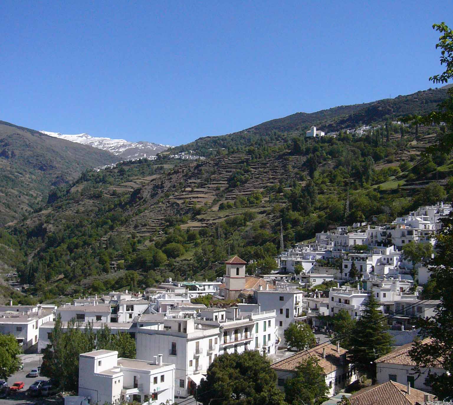 Albalat dels tarongers pagina conocer gente Albalat dels tarongers pagina conocer gente