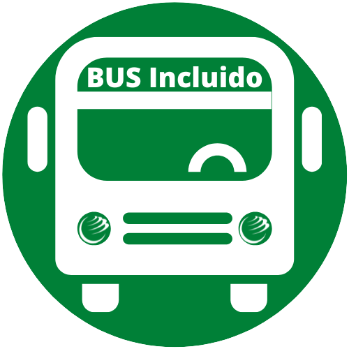 Cruceros con autobus incluido