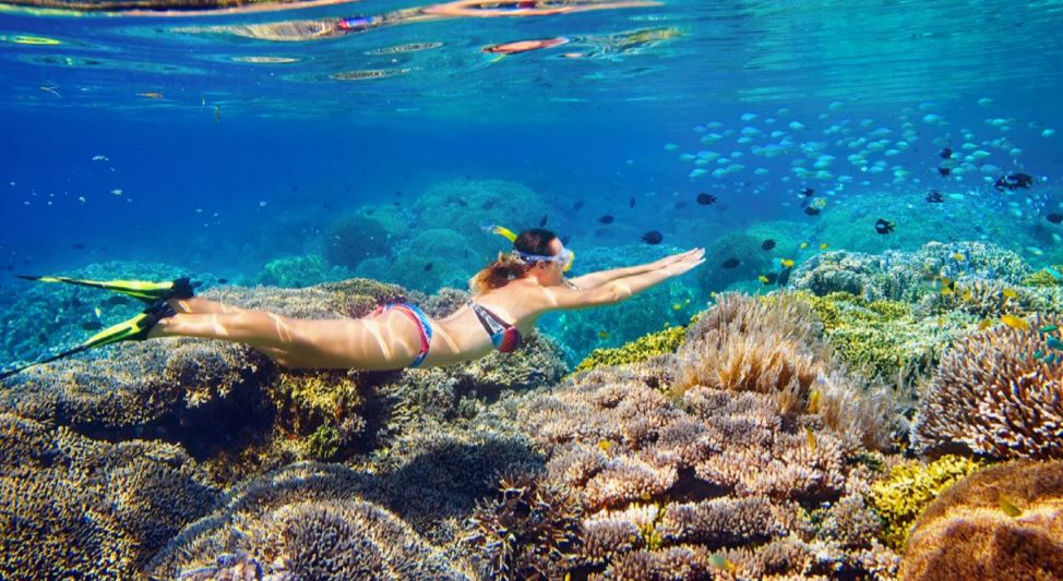 mejores excursiones cozumel y snorkel b2bviajes