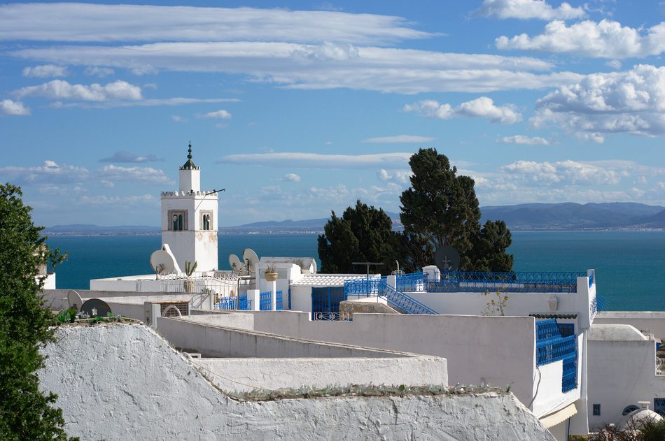 Casas blancas y azules frente al Mediterráneo en Sidi Bou Said, excursión desde Hammamet