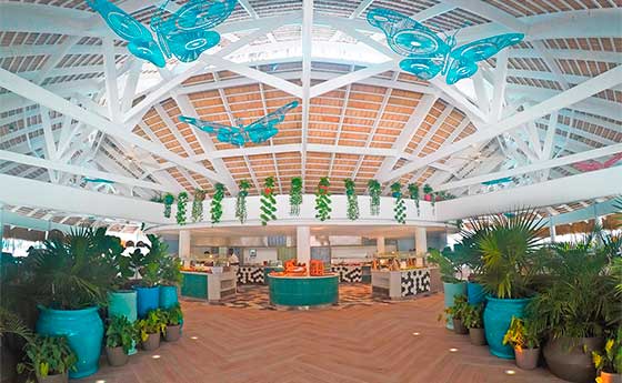 Viajes desde España a Punta Cana Hotel Catalonia Bavaro Beach