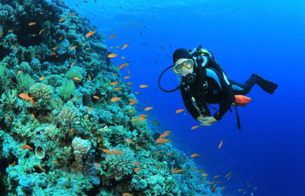 Club de Buceo en Hotel Ocean Turqueso Puerto Morelos Riviera Maya