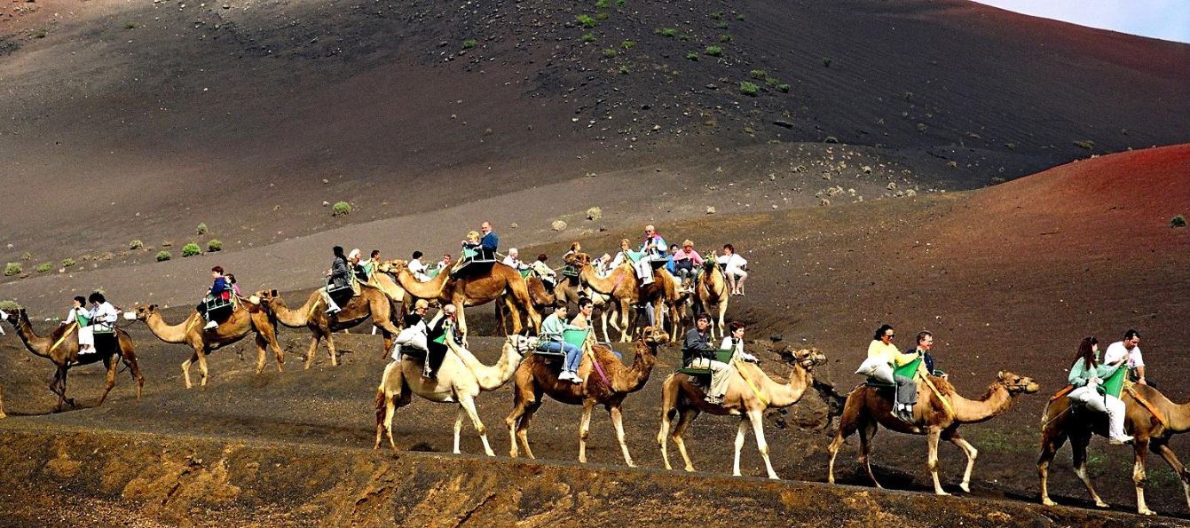 Paseo en camello en las montañas de fuego de lanzarote