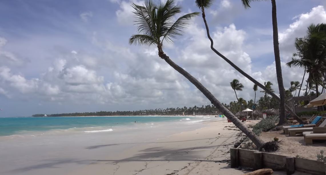 Punta Cana Palmeras en la orilla de la Playa